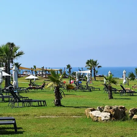 Amphora & 4* Paphos