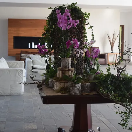 Amphora & Paphos