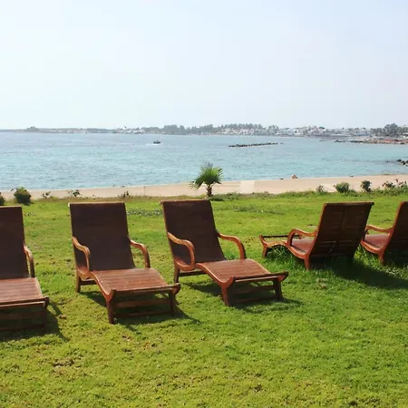 Amphora & Paphos