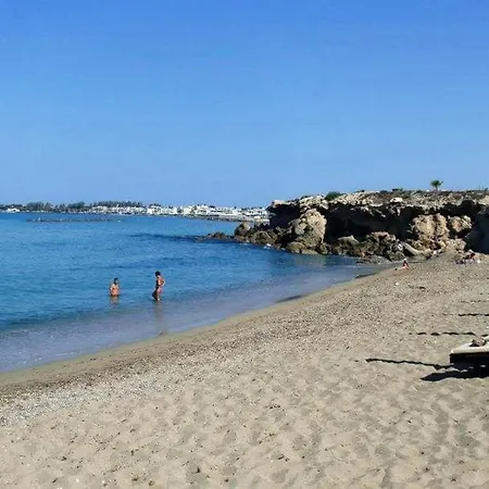 Amphora & Paphos